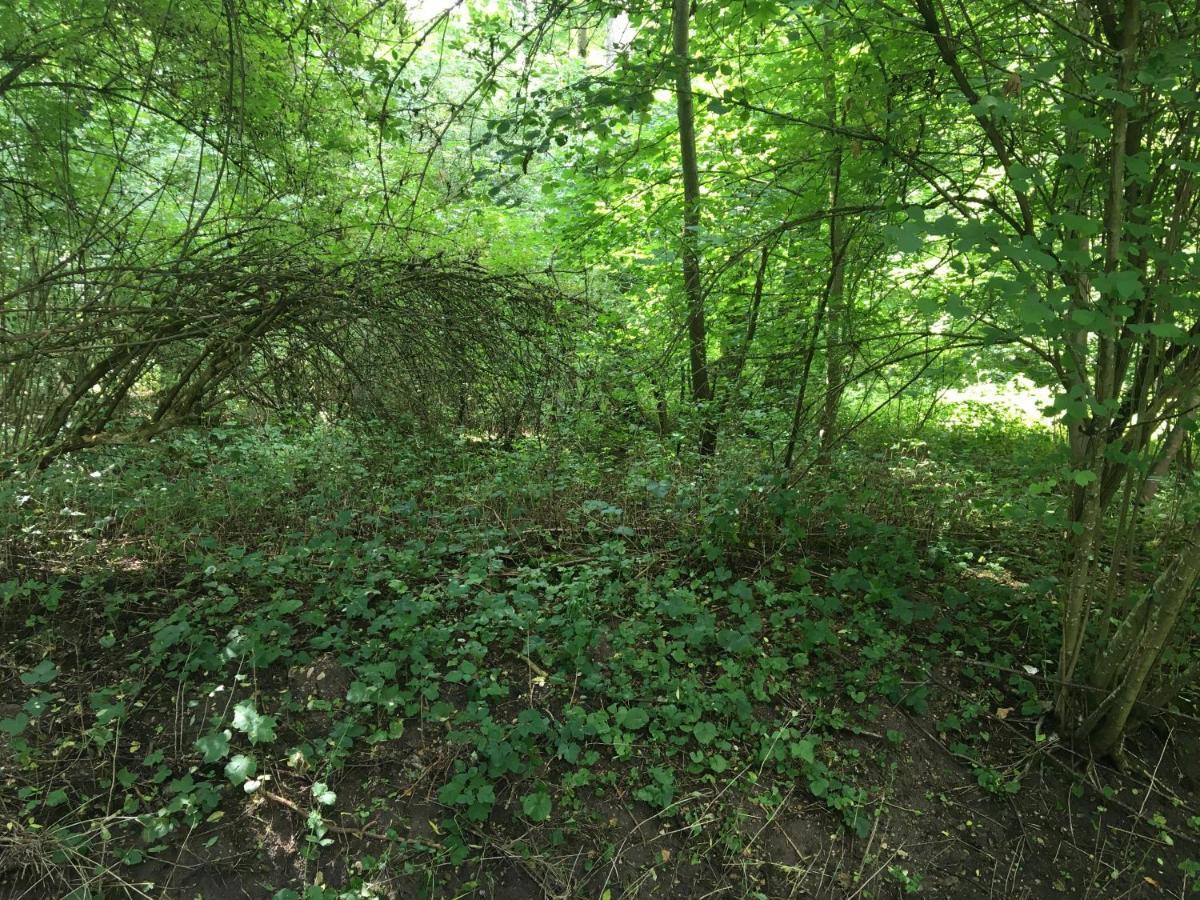 Un Coin De Foret Courmas Exterior foto